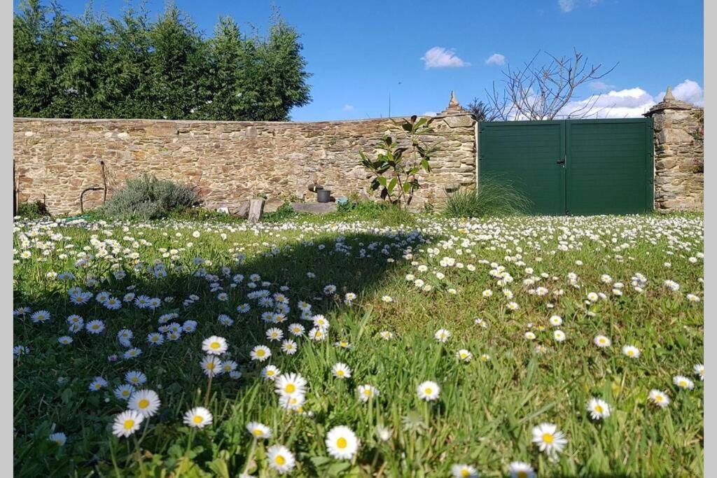 Estudio Pajar rural con bonito jardín - Los Gayoles Rural Castropol Exterior foto